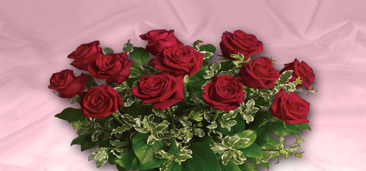 12 red roses PROOF